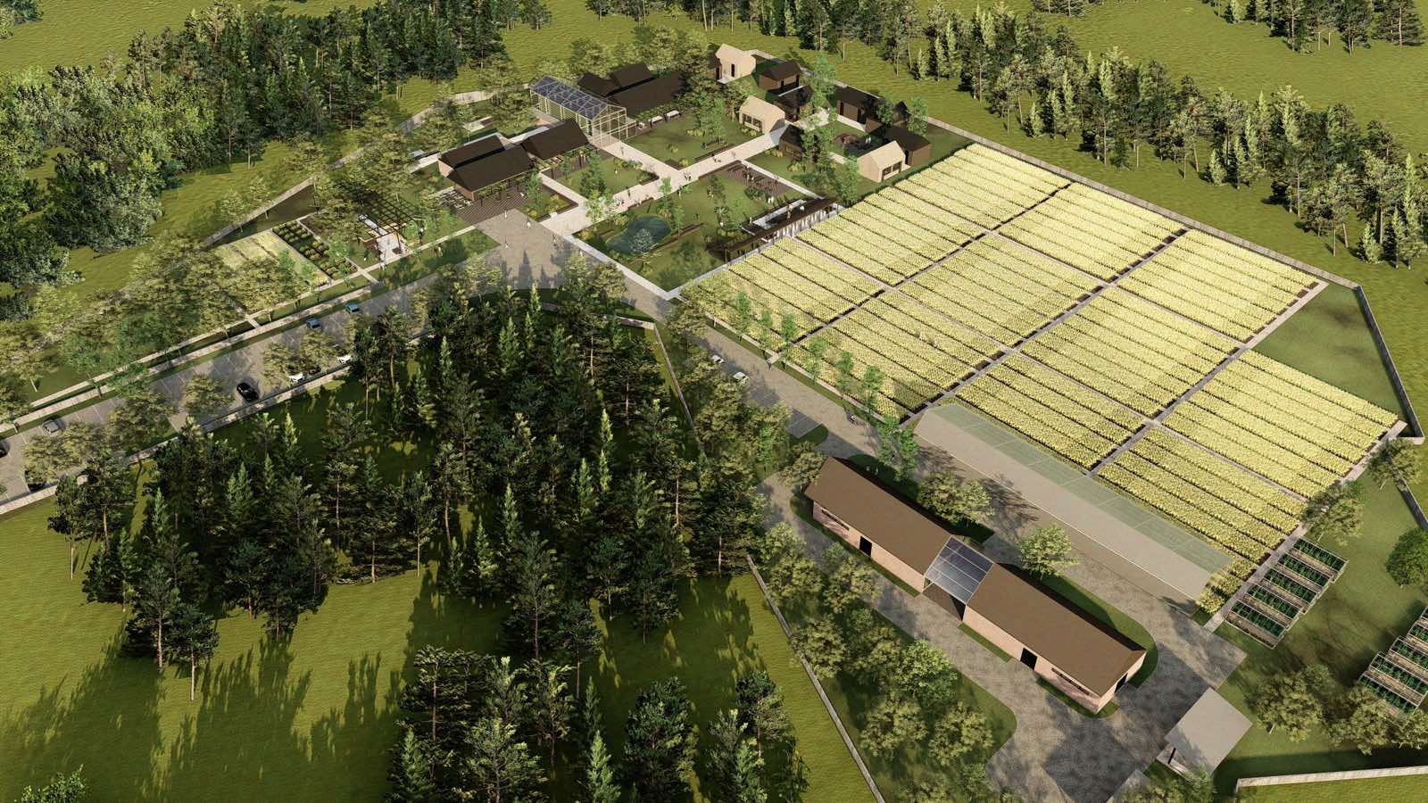 smart village